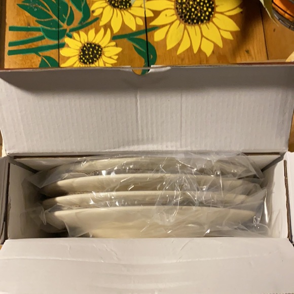 Pottery Barn Botanical Harvest Pumpkin Stoneware Set of Four Salad plates - Picture 13 of 16